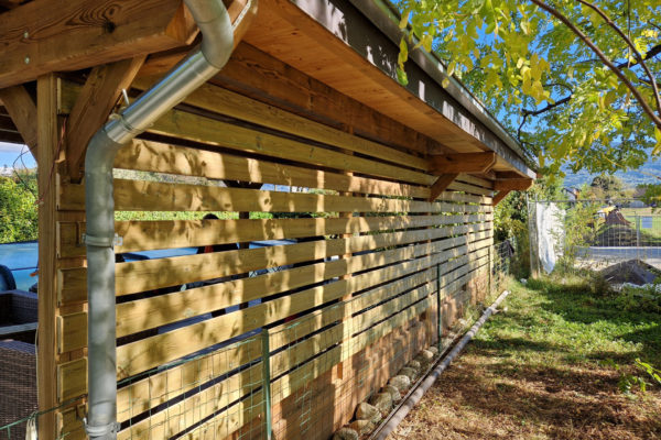 20241005_161612_resized