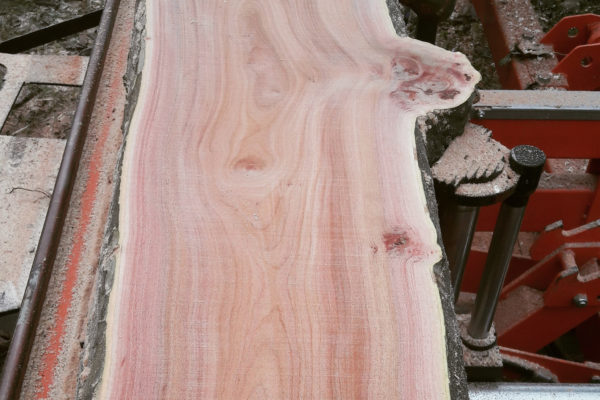 IMG_20181207_123519_984