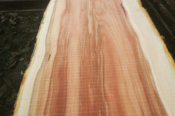 IMG_20181207_123728_933