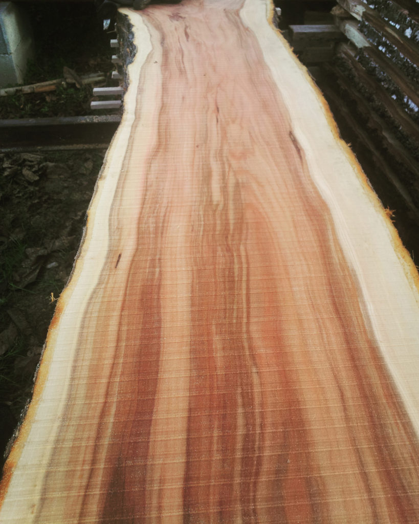 IMG_20181207_123728_933