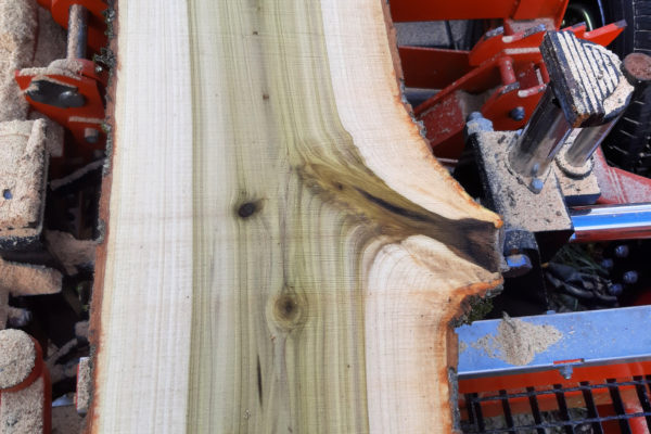 IMG_20191207_193306_965