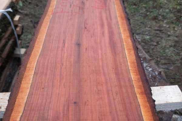 IMG_20200131_152703_741