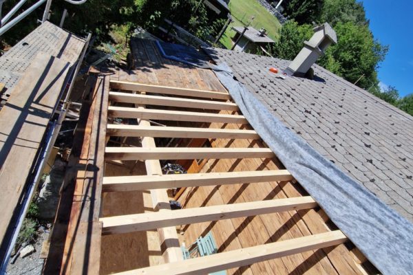 20250718_155436 20250718_155436