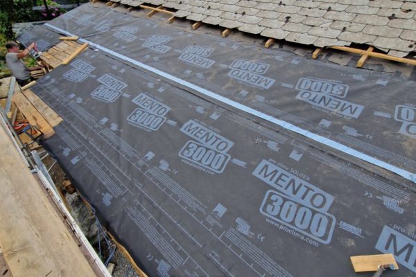 20250721_175549 20250721_175549