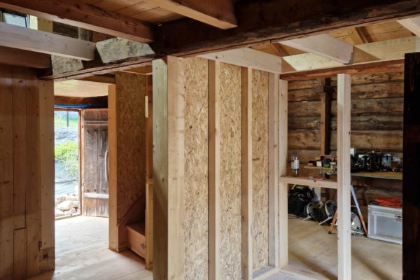 20250731_164849 20250731_164849