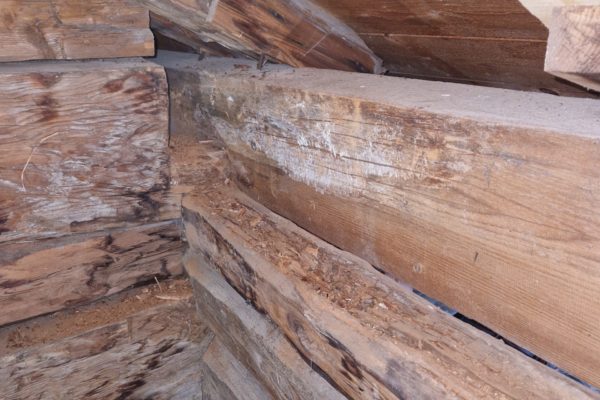 20251023_103407 20251023_103407